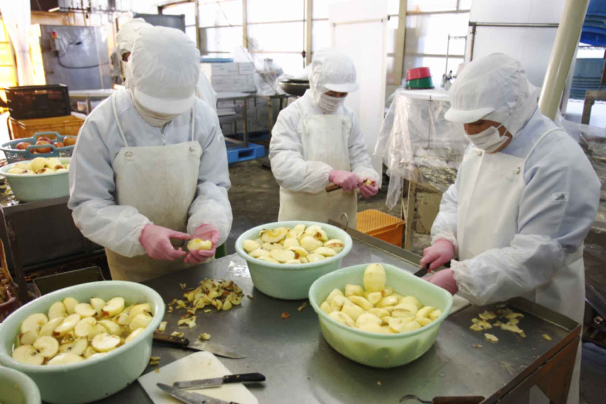 山形県アンテナショップおいしい山形　つくり手を訪ねて｜宮澤食品株式会社：
                りんごの色が変わらないよう、手早く皮をむき、へたや芯を取っていきます。