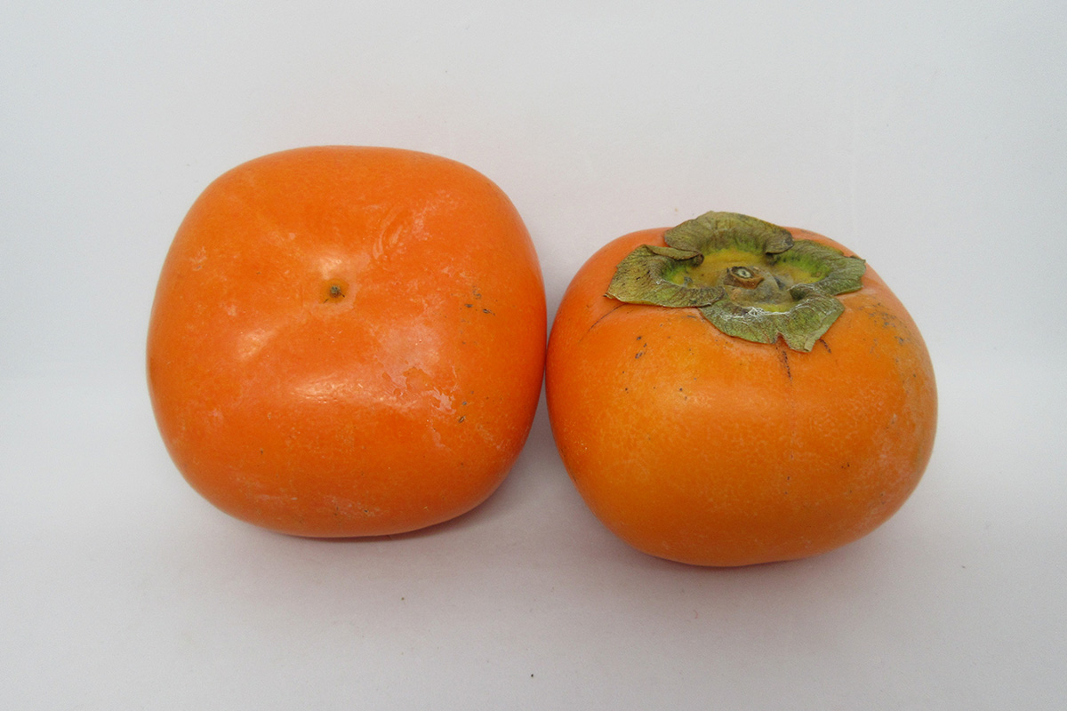 庄内柿（バラ）